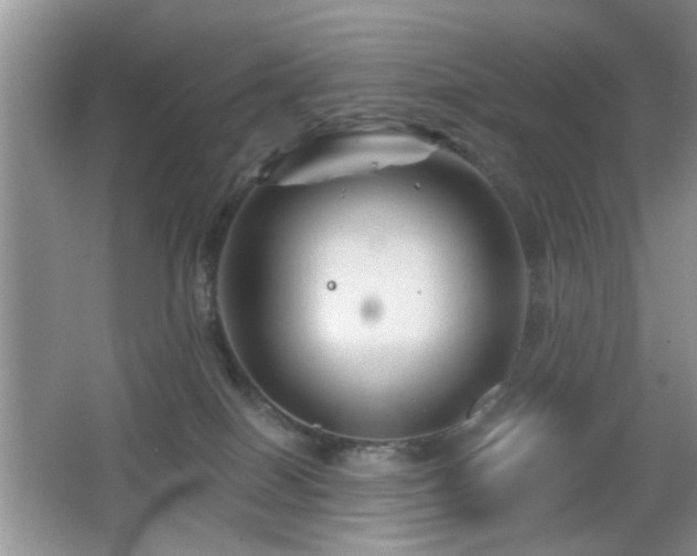 X0000065970086200603031140