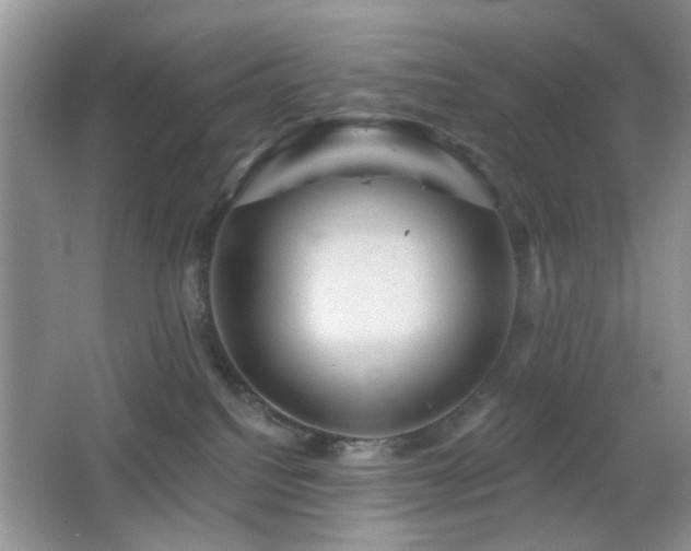 X0000065970088200603031140