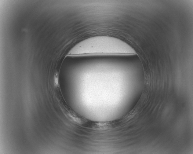 X0000065970095200603031140