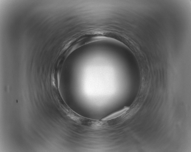 X0000065970096200603031140