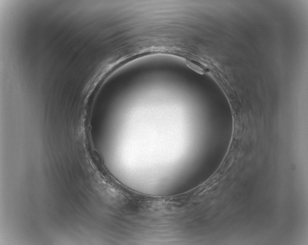 X0000065970098200603031139