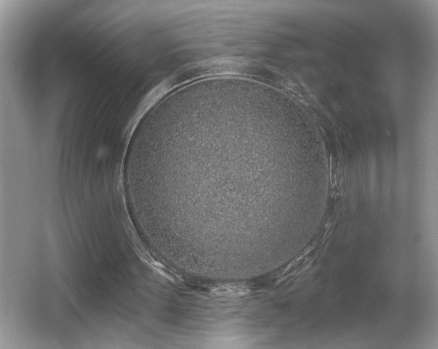 X0000065970099200603031139