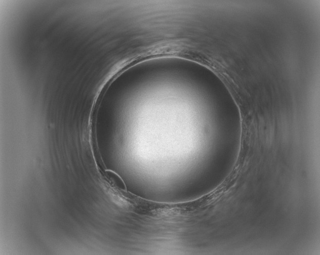 X0000065970100200603031139