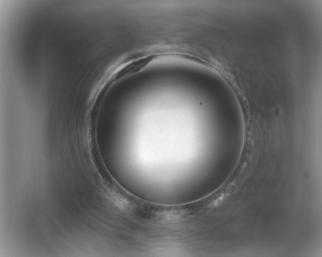 X0000065970103200603031139