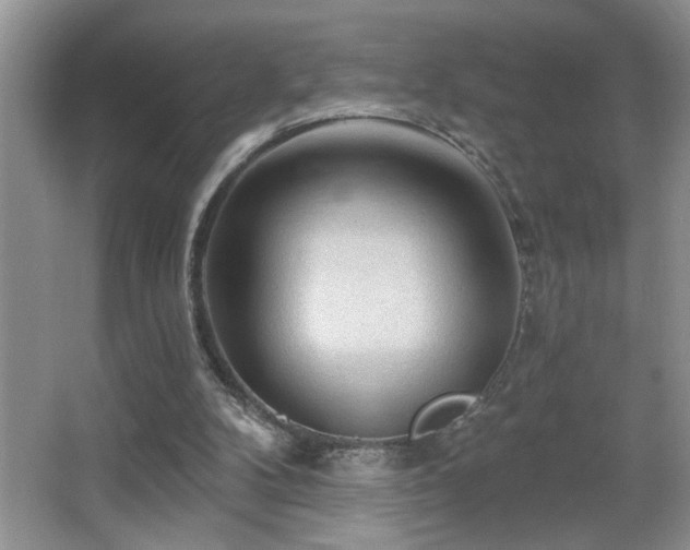 X0000065970104200603031139