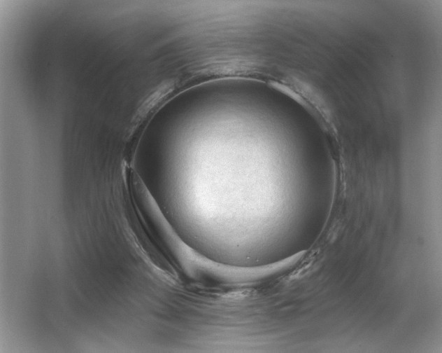 X0000065970105200603031139