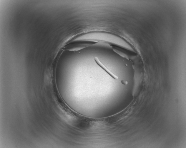 X0000065970107200603031139