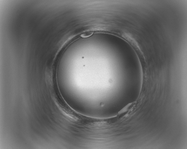 X0000065970108200603031139