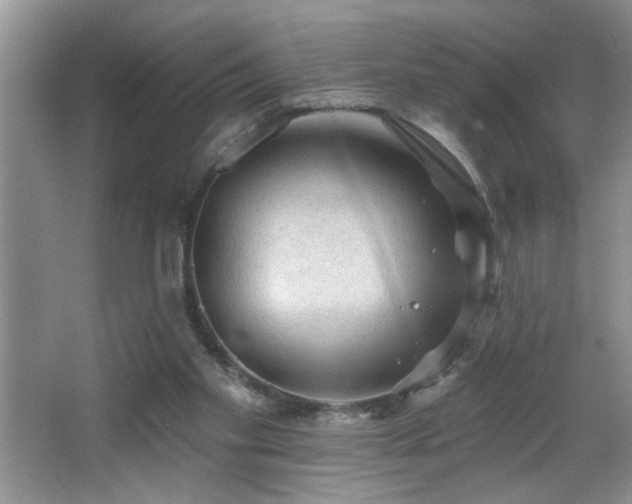 X0000065970109200603031139