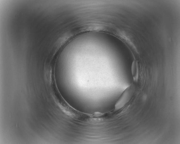 X0000065970110200603031139