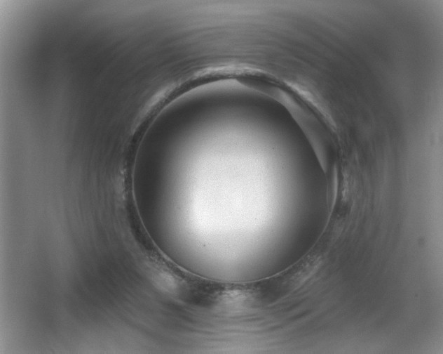 X0000065970111200603031139