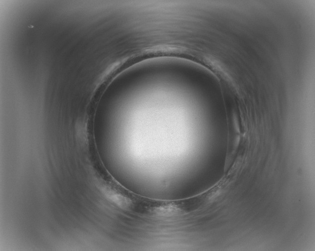 X0000065970112200603031139