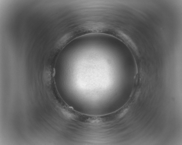 X0000065970113200603031139