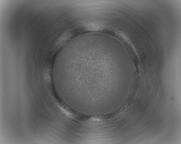 X0000065970114200603031139