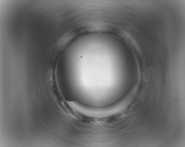 X0000065970115200603031139