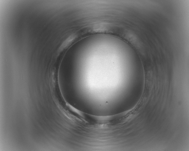 X0000065970116200603031139