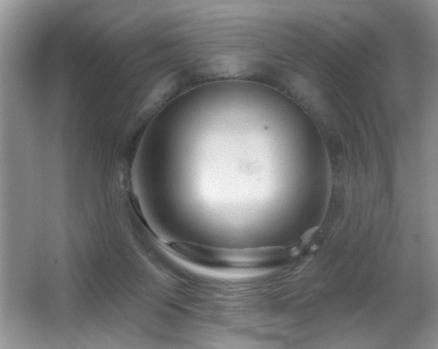 X0000065970119200603031139