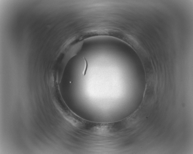 X0000065970120200603031139