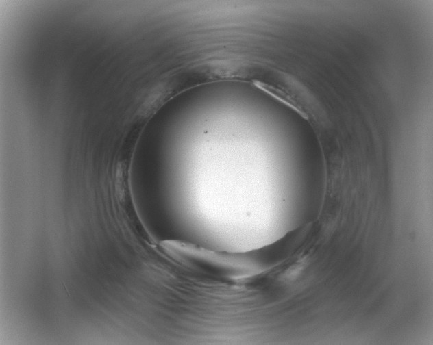 X0000065970121200603031139