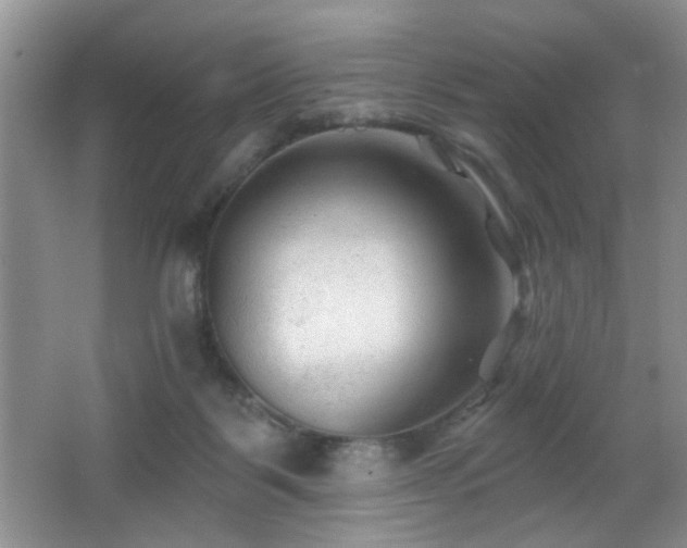 X0000065970123200603031138