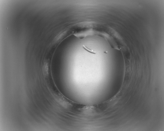 X0000065970124200603031138