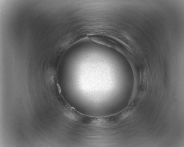 X0000065970125200603031138