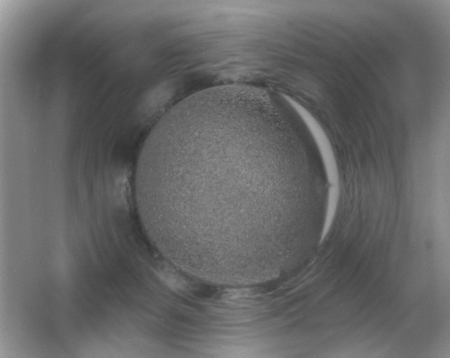 X0000065970127200603031138