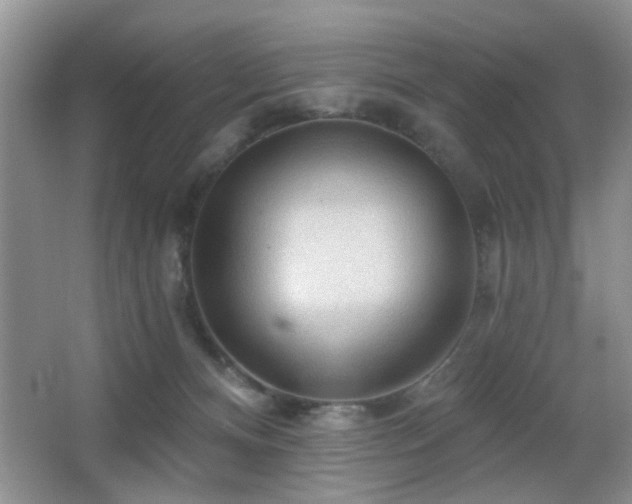 X0000065970128200603031138