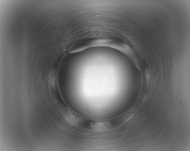 X0000065970129200603031138