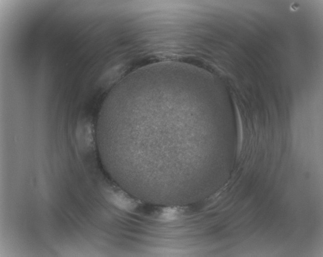 X0000065970130200603031138