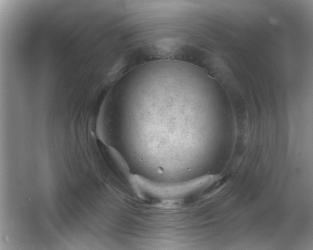 X0000065970131200603031138