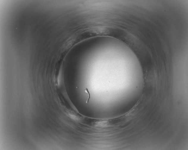 X0000065970132200603031138