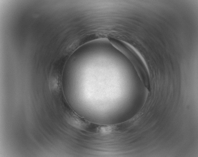 X0000065970134200603031138