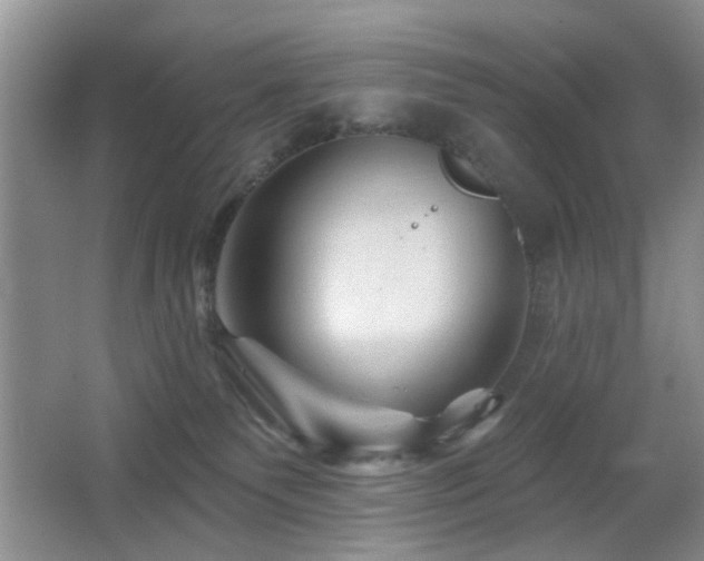 X0000065970135200603031138