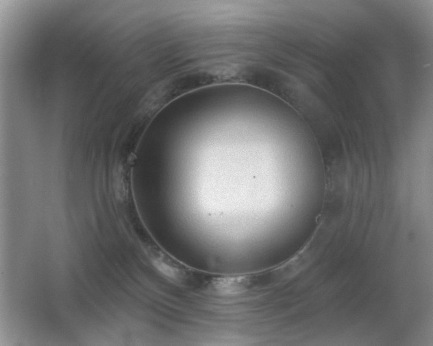 X0000065970136200603031138