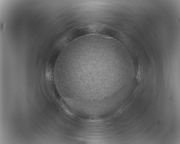 X0000065970137200603031138