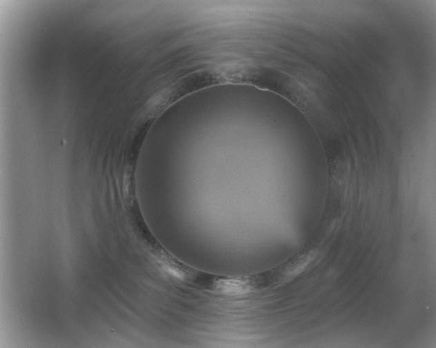 X0000065970139200603031138