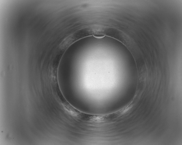 X0000065970140200603031138