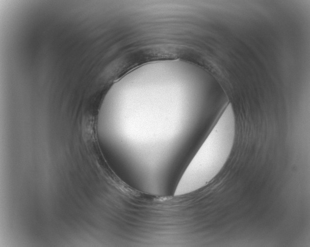 X0000065970141200603031138