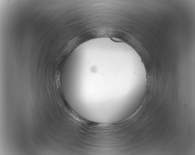 X0000065970142200603031138