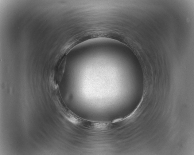 X0000065970144200603031138