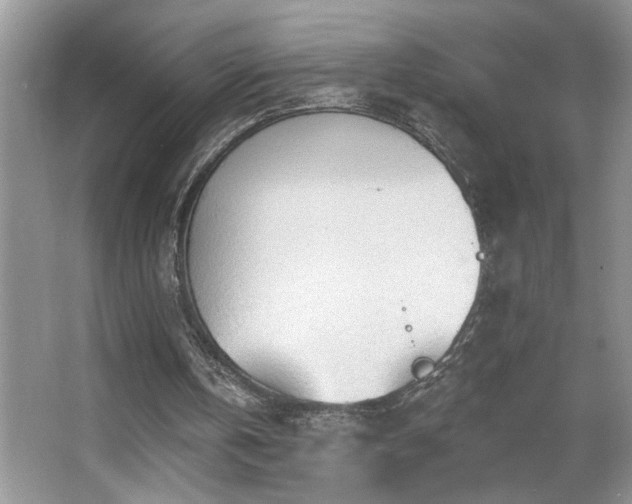 X0000065970146200603031137