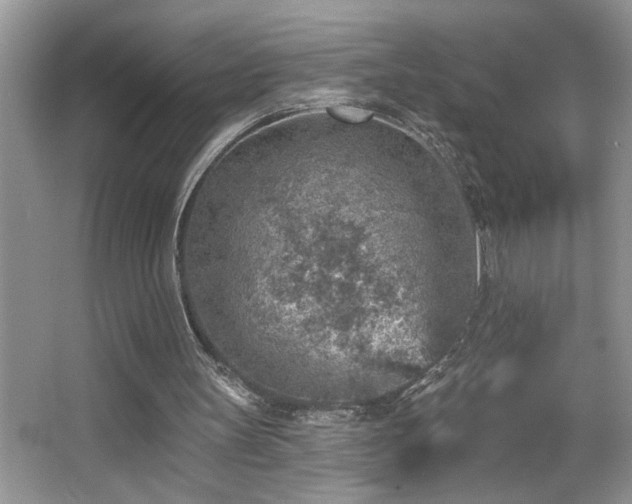 X0000065970147200603031137