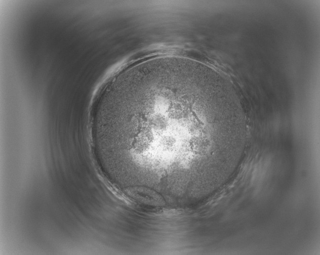 X0000065970149200603031137