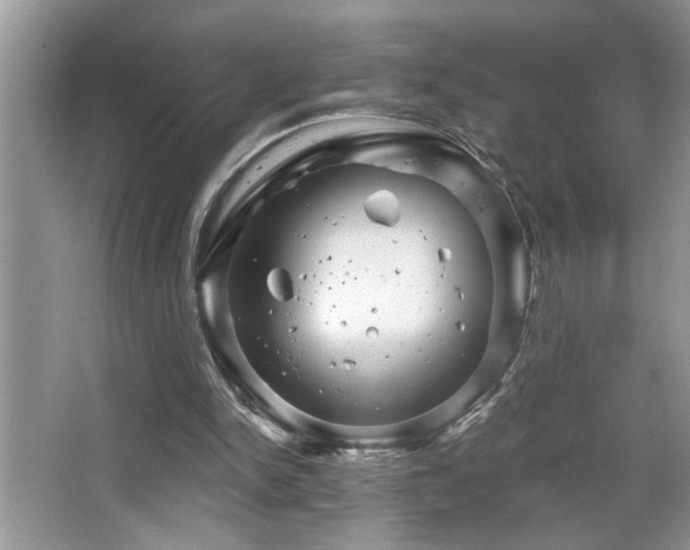 X0000065970150200603031137