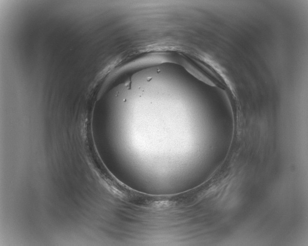 X0000065970153200603031137