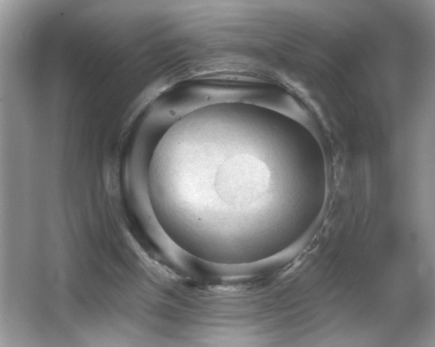 X0000065970154200603031137