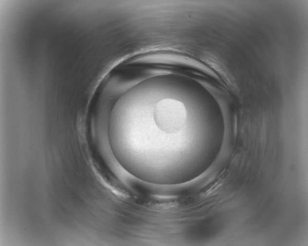 X0000065970156200603031137