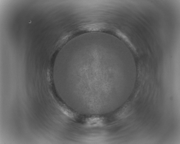 X0000065970161200603031138