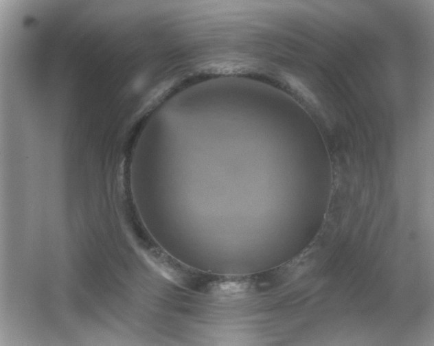 X0000065970163200603031138